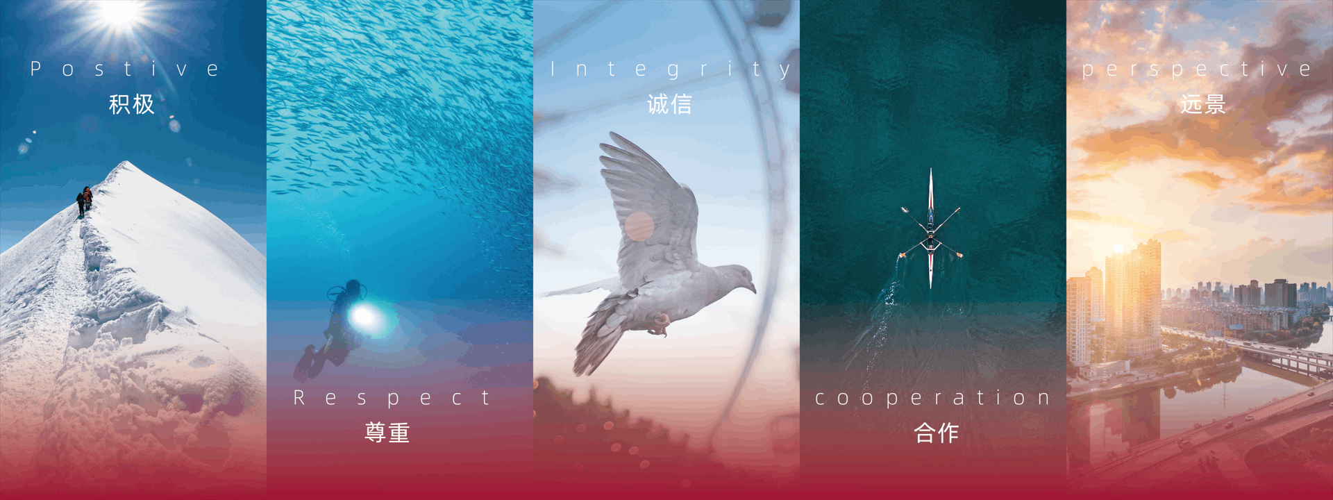 積極，尊重，誠信，合作，遠景