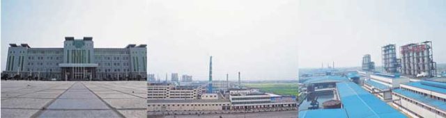 L . 湖北武漢石首楚源 L . 湖北武漢石首楚源